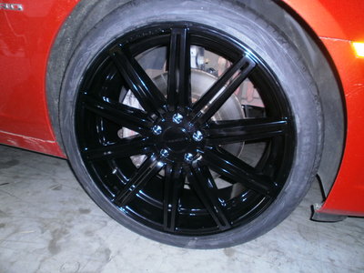 Vossen 22 pouces.JPG