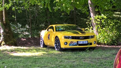 WP_20170429_15_57_29_Pro.jpg