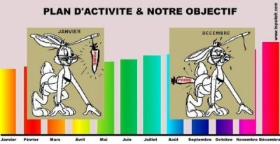 carotte-11af3d3.jpg