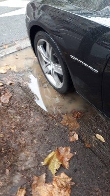 Resized_20171111_114356_1825.jpeg
