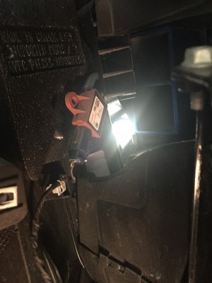 IMG_1016.jpg