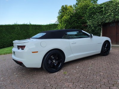 20210824_184009 (Moyen).jpg