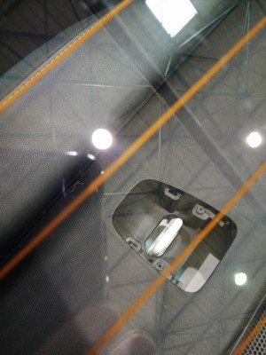 IMG_20220508_093159.jpg