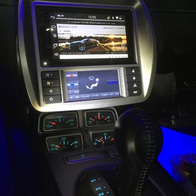 Parrot camaro.jpg